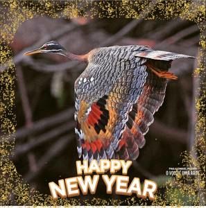 Meet your Posher, Maureen